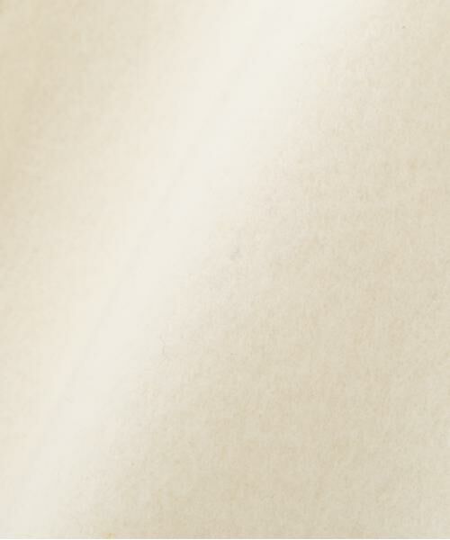 ＊＊PROPORTION BODY DRESSING / プロポーションボディドレッシング　 アウター | ビッグカラーコート/23AW | 詳細23