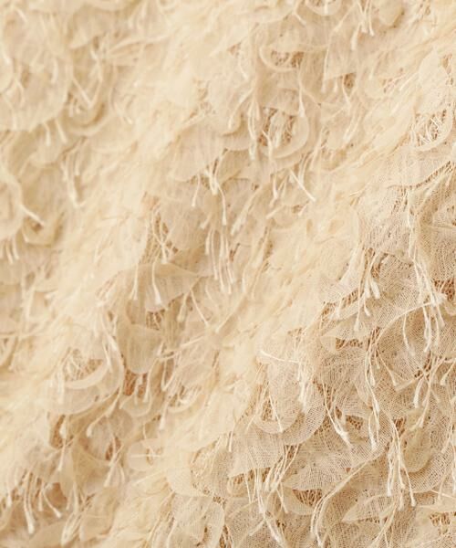 ＊＊PROPORTION BODY DRESSING / プロポーションボディドレッシング　 スカート | 3Dレースタイトスカート | 詳細28