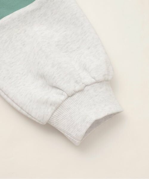Pupil House / ピューピルハウス スウェット | 【milky coast】裏毛ハーフZIPトレーナー | 詳細5