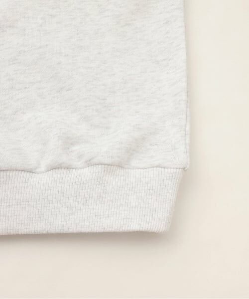Pupil House / ピューピルハウス スウェット | 【milky coast】裏毛ハーフZIPトレーナー | 詳細6
