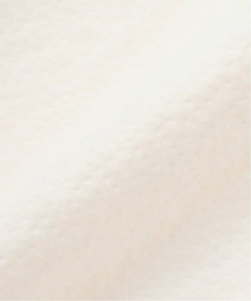 Pupil House / ピューピルハウス ミニ丈・ひざ丈ワンピース | シャーリング刺しゅうパフスリーブワンピース | 詳細17
