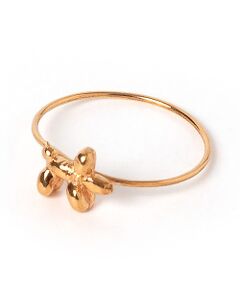 qualite / カリテ リング | 【MAISON D'PULSE(メゾンドパルス)】Ring small dog