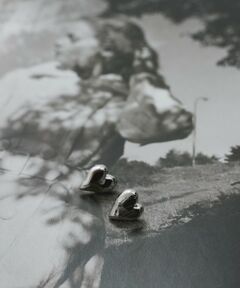 QUEENS COURT / クイーンズコート ピアス・イヤリング | ハートモチーフピアス