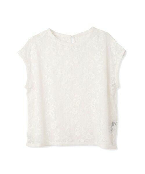 QUEENS COURT / クイーンズコート シャツ・ブラウス | ラッセルレースフレンチスリーブトップス≪手洗い可能≫ | 詳細4