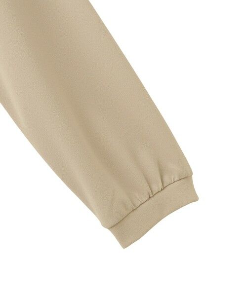 QUEENS COURT / クイーンズコート カットソー | カットジョーゼットレースカラーフレアプルオーバー | 詳細24