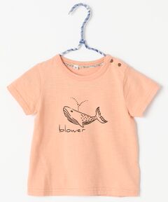 夏物　動物Tシャツ