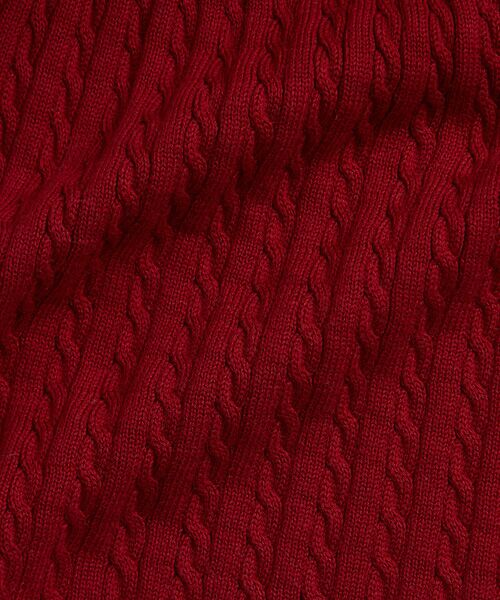 POLO RALPH LAUREN / ポロ ラルフ ローレン ミニ丈・ひざ丈ワンピース | (ベビー)ケーブル コットン セーター ドレス | 詳細2