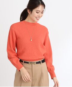 Reflect / リフレクト ニット・セーター | プチハイネックジャカードニット