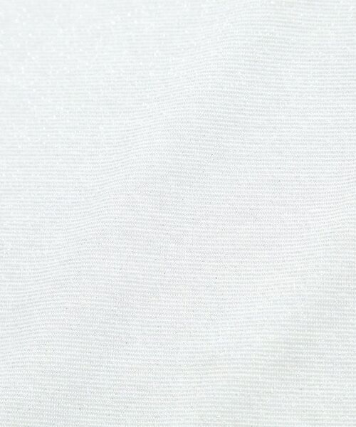 Reflect / リフレクト キャミソール・チューブトップ | 【洗える】ベーシックラメタンクトップ | 詳細4