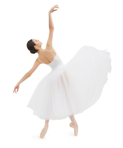 Repetto / レペット その他 | Long tutu | 詳細3