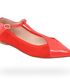 Chic T-strap shoe