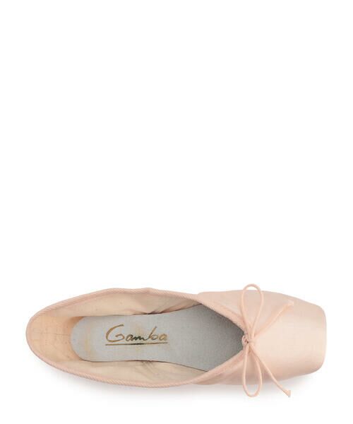 Repetto / レペット フラットシューズ | Gamba Pointe shoes - NarrowBox SoftSole | 詳細1