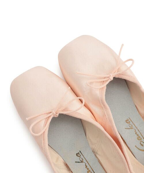 Repetto / レペット フラットシューズ | Gamba Pointe shoes - WideBox SoftSole | 詳細3