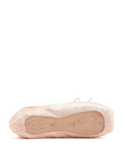 Repetto / レペット フラットシューズ | Gamba Pointe shoes - WideBox SoftSole | 詳細4