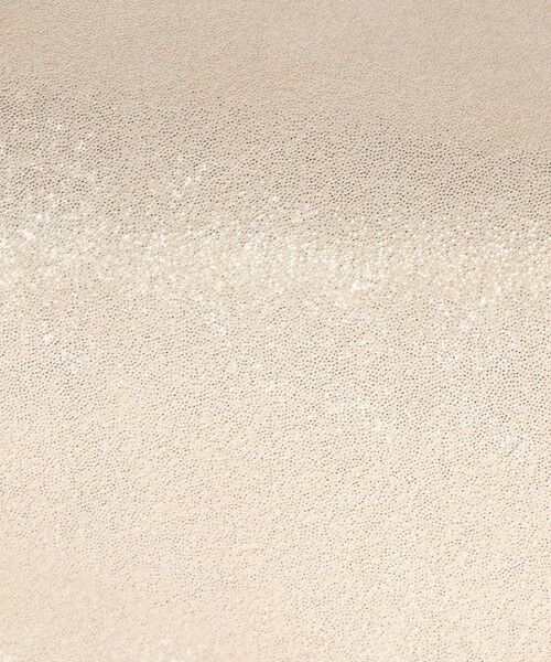 Repetto / レペット フラットシューズ | Cendrillon バレエフラット - EUサイズ | 詳細5