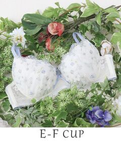 Risa Magli / リサマリ ブラ | ロレイン ブラジャー