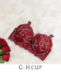 Risa Magli / リサマリ ブラ | シュトレン ブラジャー