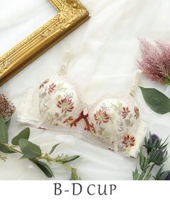 Risa Magli / リサマリ ブラ | フレデリカ ブラジャー