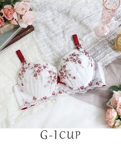 Risa Magli / リサマリ ブラ | リア ブラジャー（G-I）＜バストアップタイプ＞