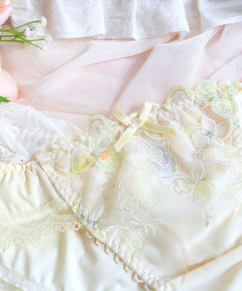 Risa Magli / リサマリ ショーツ | マティア ノーマルショーツ | 詳細3