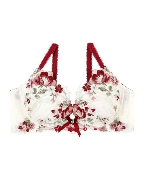 Risa Magli / リサマリ ブラ | サリー ブラジャー (B-C) <V Make Type> | 詳細2