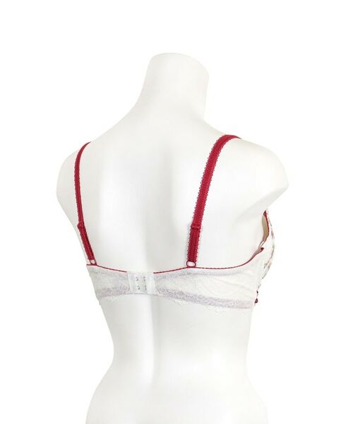 Risa Magli / リサマリ ブラ | サリー ブラジャー (B-C) <V Make Type> | 詳細20