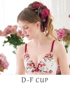 Risa Magli / リサマリ ブラ | サリー ブラジャー （D-F） ＜V Make Type＞