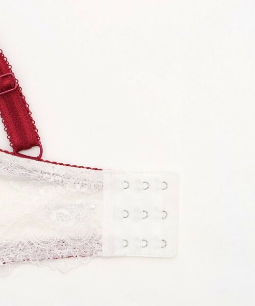 Risa Magli / リサマリ ブラ | サリー ブラジャー （G-H） ＜V Make Type＞ | 詳細22