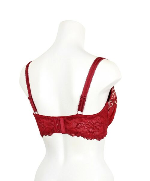 Risa Magli / リサマリ ブラ | 【アリーナ】 ブラジャー (G-H) <N Make Type> | 詳細17