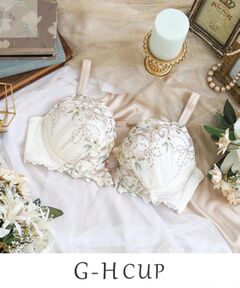 Risa Magli / リサマリ ブラ | ヴァネッサ ブラジャー (G-H) ＜V Make Type＞