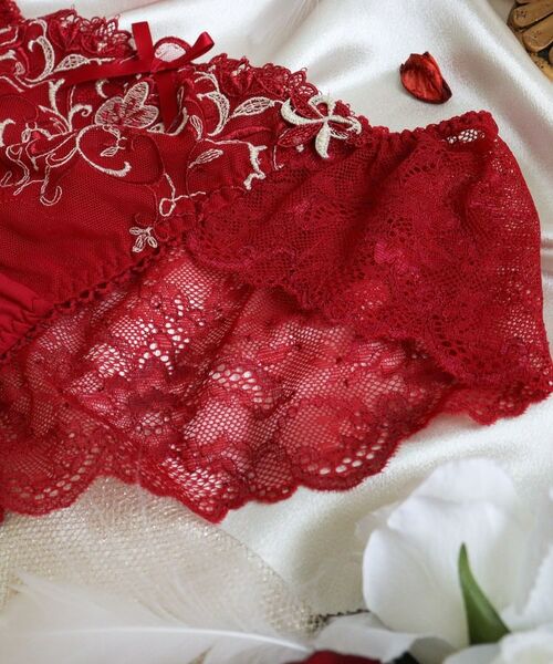 Risa Magli / リサマリ ショーツ | 【アリーナ】 レースショーツ | 詳細5