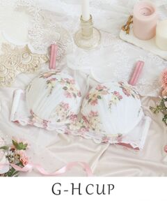 Risa Magli / リサマリ ブラ | ダニエラ ブラジャー (G-H) ＜V Make Type＞