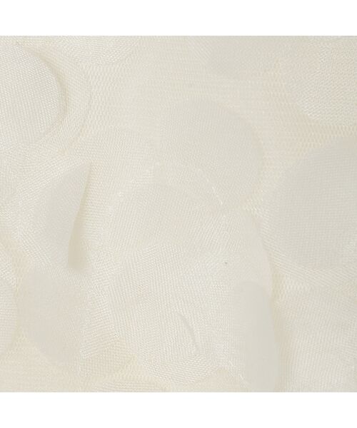 R-ISM / リズム ベスト | 【洗える】ドットモチーフチュールベスト | 詳細3