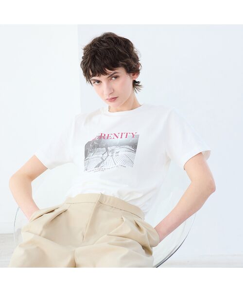 R-ISM / リズム カットソー | 【R-ISM人気アイテム・洗える】フォトプリントTシャツ（DOG） | 詳細1