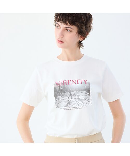 R-ISM / リズム カットソー | 【R-ISM人気アイテム・洗える】フォトプリントTシャツ（DOG） | 詳細5