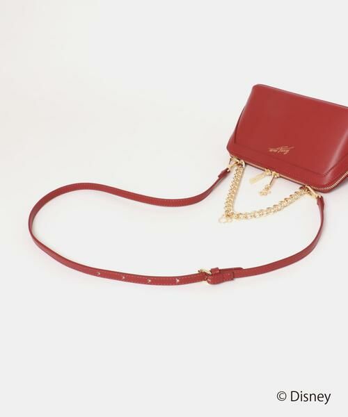 RODE SKO / ロデスコ ショルダーバッグ | ディズニーコレクションお財布ショルダー | 詳細12