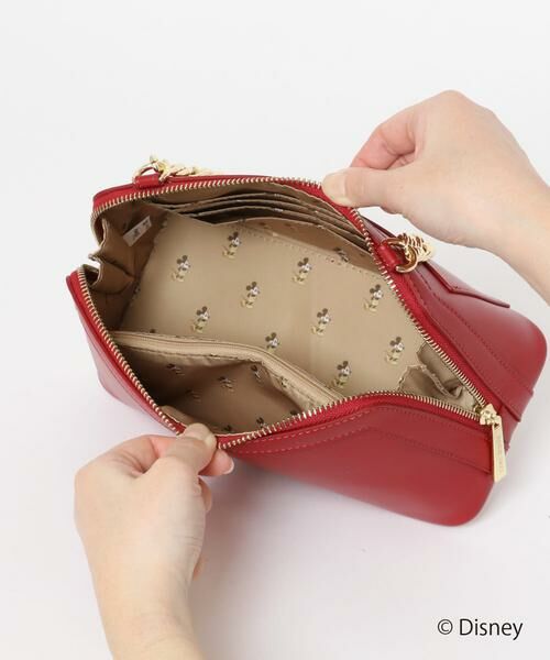 RODE SKO / ロデスコ ショルダーバッグ | ディズニーコレクションお財布ショルダー | 詳細14