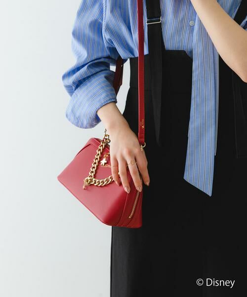 RODE SKO / ロデスコ ショルダーバッグ | ディズニーコレクションお財布ショルダー | 詳細2