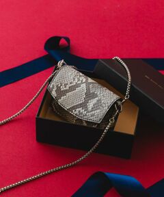 RODE SKO / ロデスコ ショルダーバッグ | ナノバッグ(スネークチェーン)