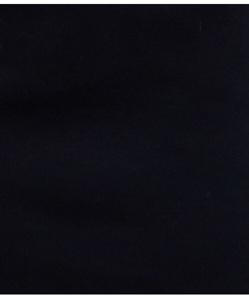 ROPE' / ロペ スカート | 【ドラマ着用】【洗える】【CARREMAN / キャリーマン】【2WAY】ポンチタイトスカート | 詳細12