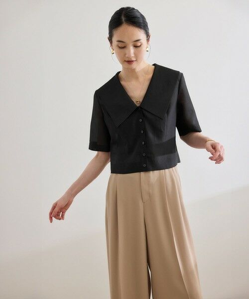 ROPE' / ロペ シャツ・ブラウス | 【洗える】シャイニーシアーブラウス/セットアップ対応 | 詳細14