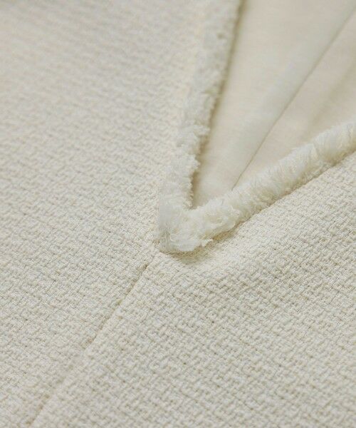 ROPE' / ロペ ベスト | 【洗える】【WEB・一部店舗限定】サマーツイードオーバージレ | 詳細21