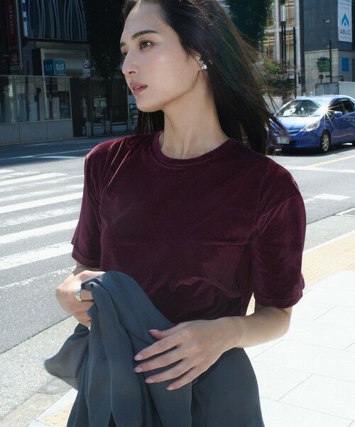 ROPE' / ロペ Tシャツ | シアーベロアTシャツ/イージーケア | 詳細1