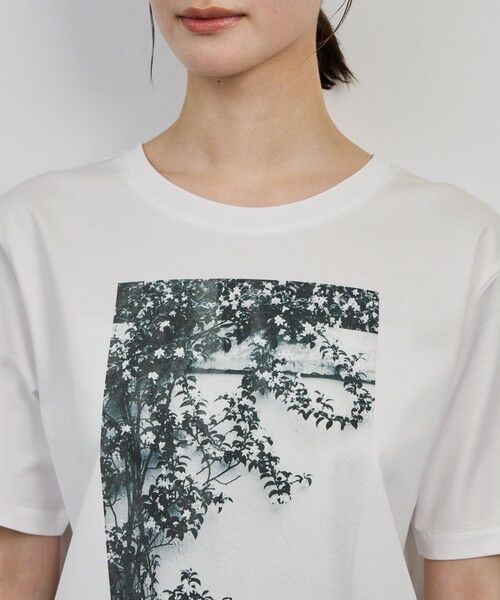 ROPE' / ロペ Tシャツ | プリントＴシャツ/イージーケア | 詳細10