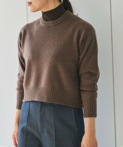 ROPE' / ロペ ニット・セーター | スーパーファインメリノウールスパンコールニット