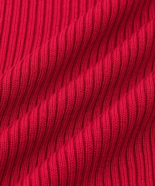 ROPE' / ロペ ニット・セーター | 【一部店舗限定】【REALM（レルム）】BUTTONED RIB TURTLENECK｜ニット | 詳細12
