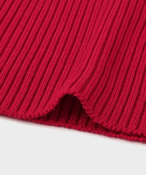 ROPE' / ロペ ニット・セーター | 【一部店舗限定】【REALM（レルム）】BUTTONED RIB TURTLENECK｜ニット | 詳細11