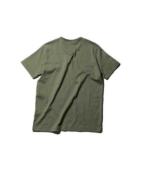 ROSE BUD / ローズ バッド カットソー | (LACOSTE)Vネック半袖Tシャツ | 詳細2