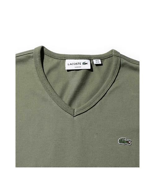 ROSE BUD / ローズ バッド カットソー | (LACOSTE)Vネック半袖Tシャツ | 詳細3