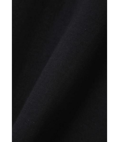 ROSE BUD / ローズ バッド カットソー | FRUIT OF THE LOOMバックプリントTシャツ | 詳細17